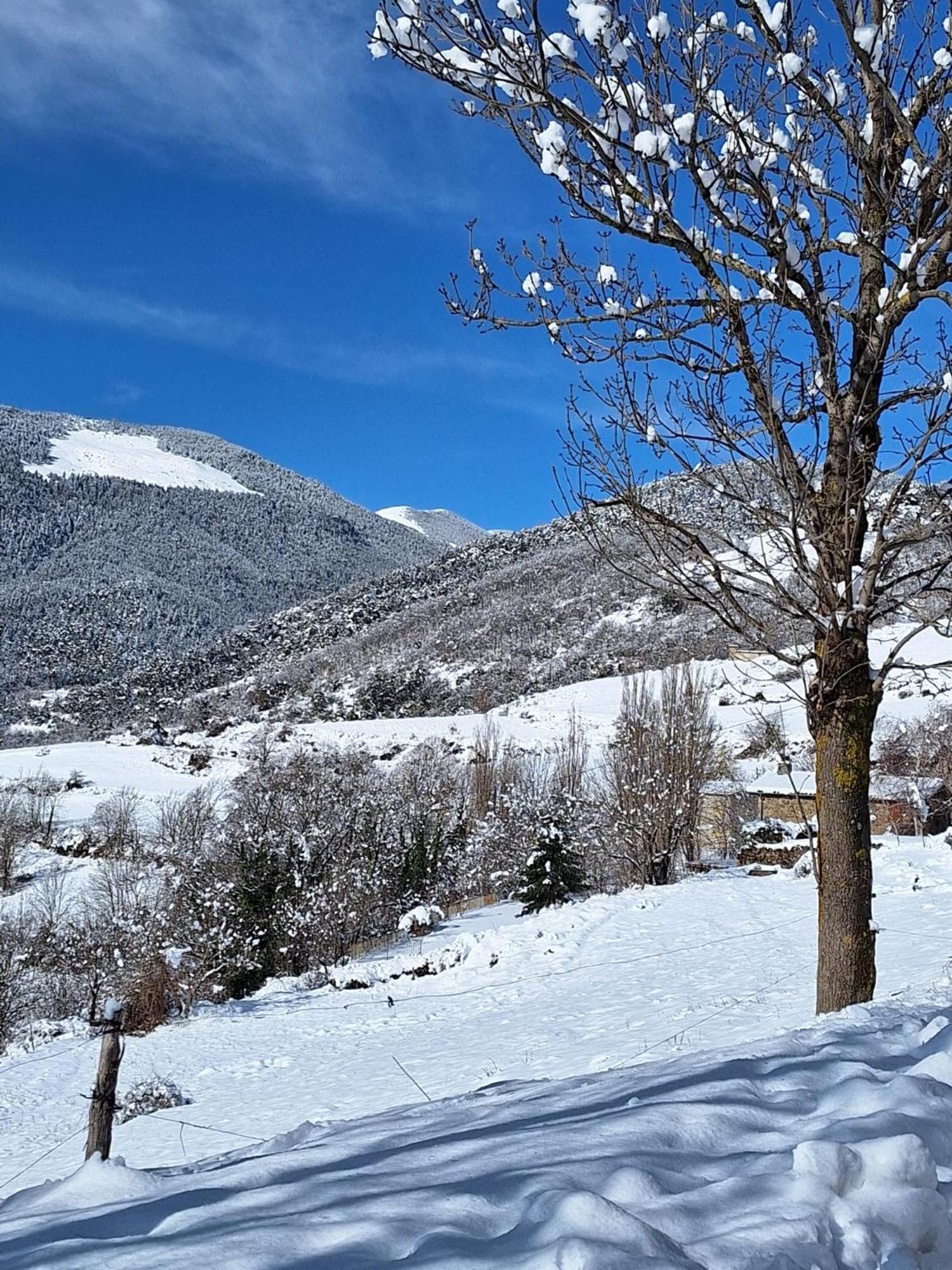 Rectoria Nova Bed & Breakfast Campelles Exterior photo